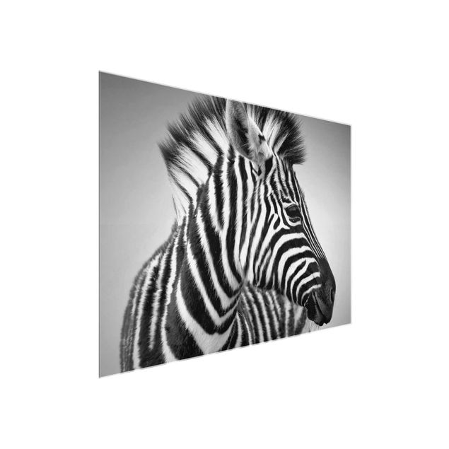 Glasbilder Tiere Zebra Baby Portrait II