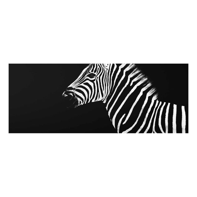 Wandbilder Modern Zebra Safari Art