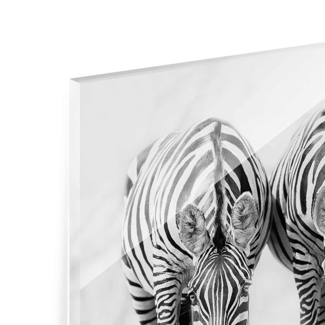 Bilder Zebra Trio schwarz-weiß