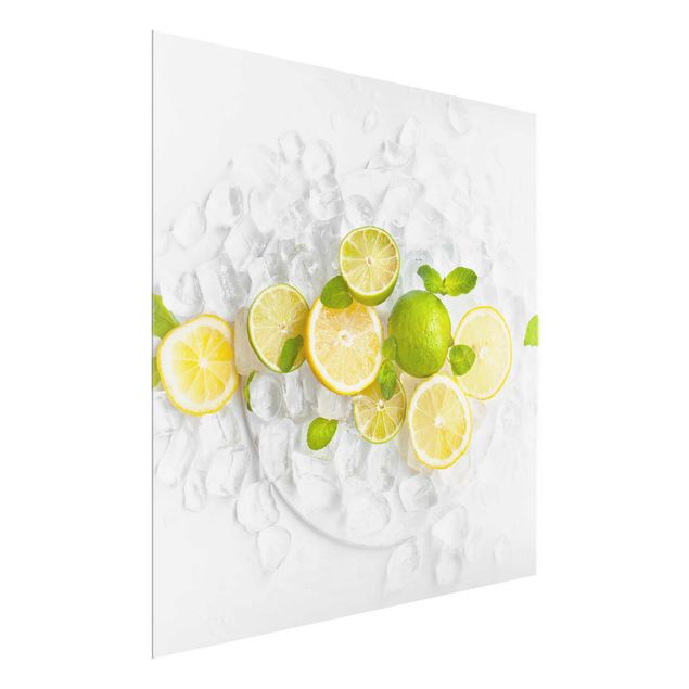 Wandbilder Floral Zitrusfrüchte auf Eiswürfel