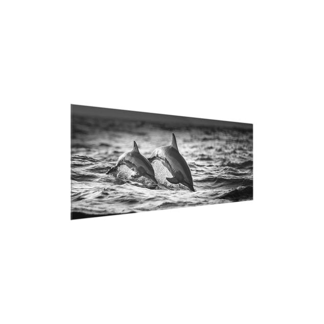 Glasbilder Tiere Zwei springende Delfine