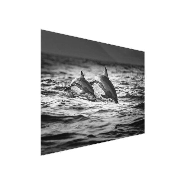 Glasbilder Tiere Zwei springende Delfine