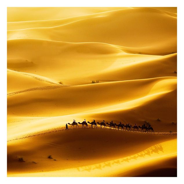 Fototapeten Gelb Golden Dunes