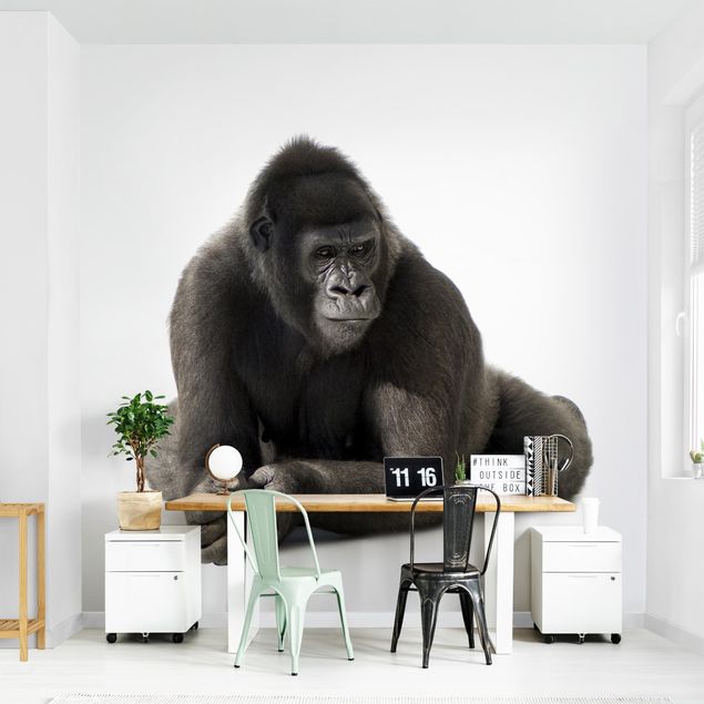 Küche Dekoration Gorilla I