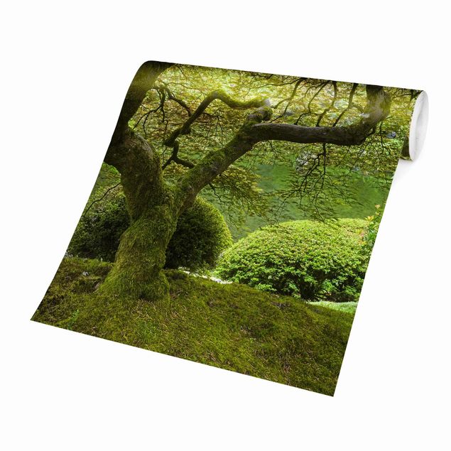 Wandtapete gruen Grüner Japanischer Garten