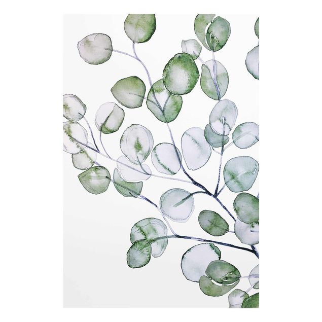 Wandbilder Grün Grünes Aquarell Eukalyptuszweig