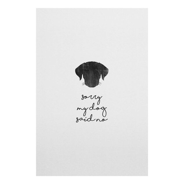 Wandbilder Schwarz-Weiß Haustier Zitat Sorry My Dog Said No