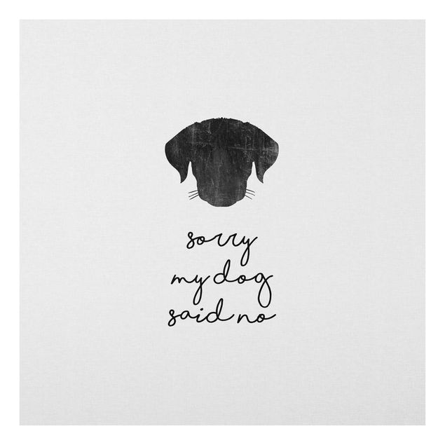 Wandbilder Schwarz-Weiß Haustier Zitat Sorry My Dog Said No