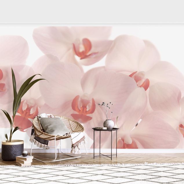 Wanddeko Küche Helle Orchidee Blumentapete - Svelte Orchids