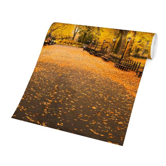 Fototapete orange Herbst im Central Park