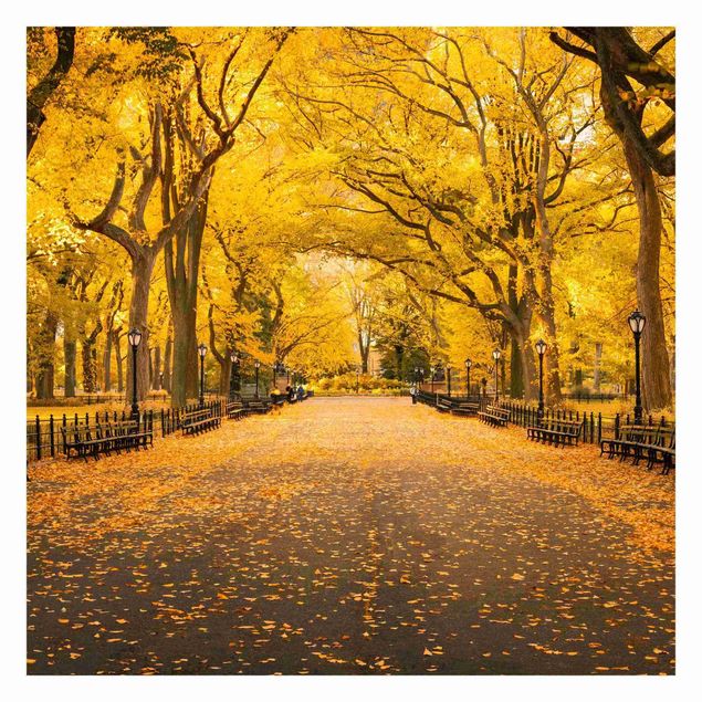 Fototapete Herbst im Central Park