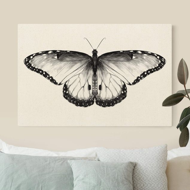 Wandbilder Schmetterlinge Illustration fliegender Blauer Morpho Schwarz