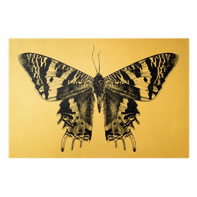 Wandbilder Tiere Illustration fliegender Madagaskar Schmetterling