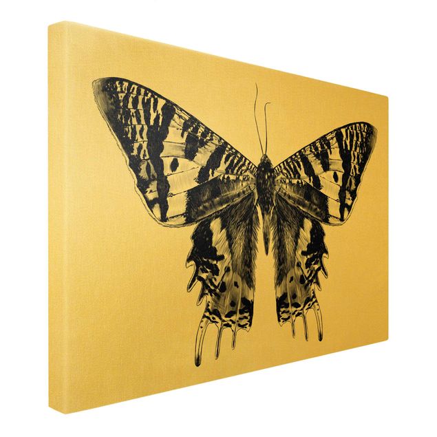 Wandbilder Schwarz Illustration fliegender Madagaskar Schmetterling