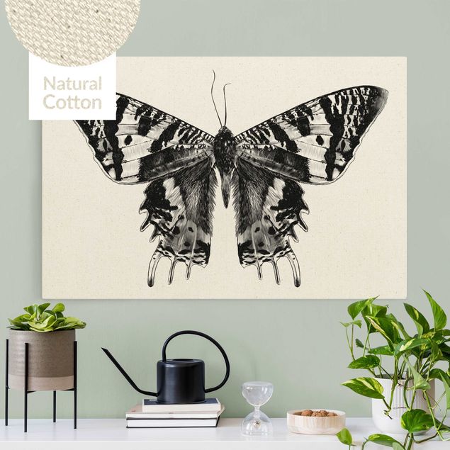 Schmetterlinge Leinwand Illustration fliegender Madagaskar Schmetterling