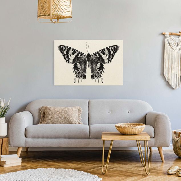Tierbilder Leinwand Illustration fliegender Madagaskar Schmetterling