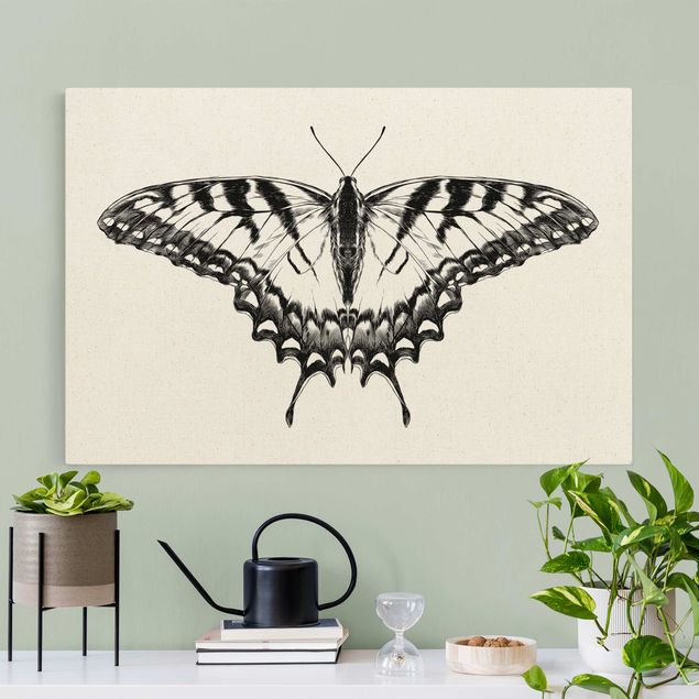 Schmetterlinge Leinwand Illustration fliegender Tiger Schwalbenschwanz Schwarz