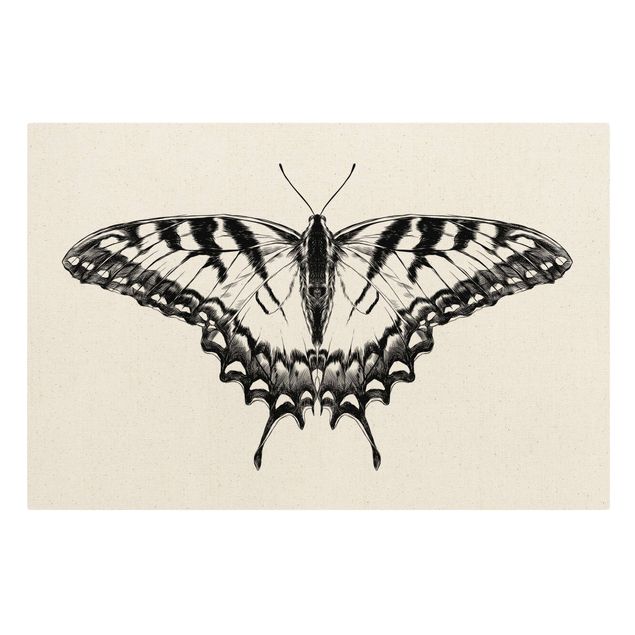 Tierbilder Leinwand Illustration fliegender Tiger Schwalbenschwanz Schwarz