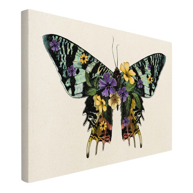 Wandbilder Bunt Illustration floraler Madagaskar Schmetterling