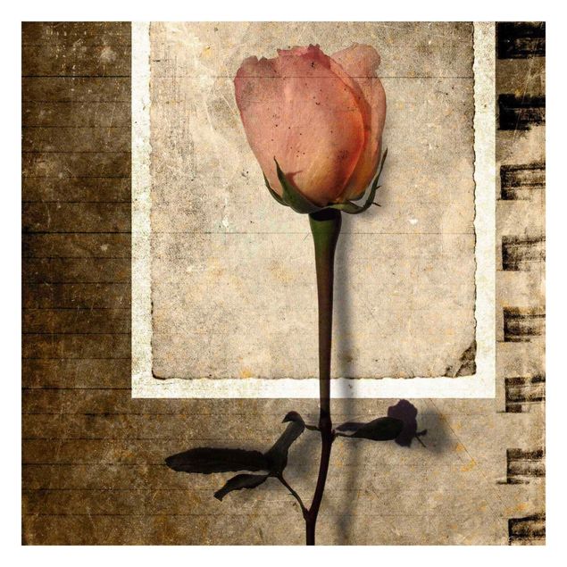 Fototapete - Inner Rose