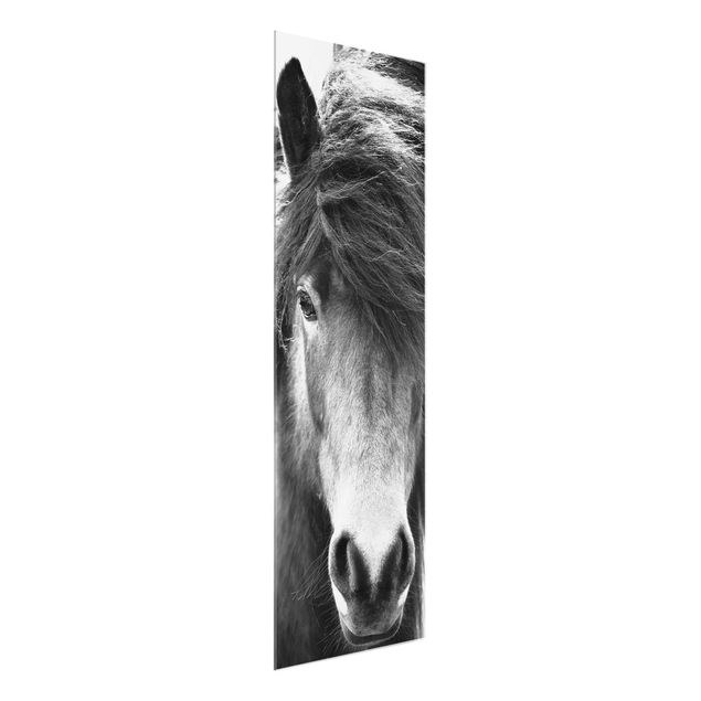 Glasbilder Tiere Island Pferd in Schwarz-weiß