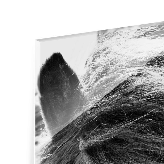 Monika Strigel Bilder Island Pferd in Schwarz-weiß
