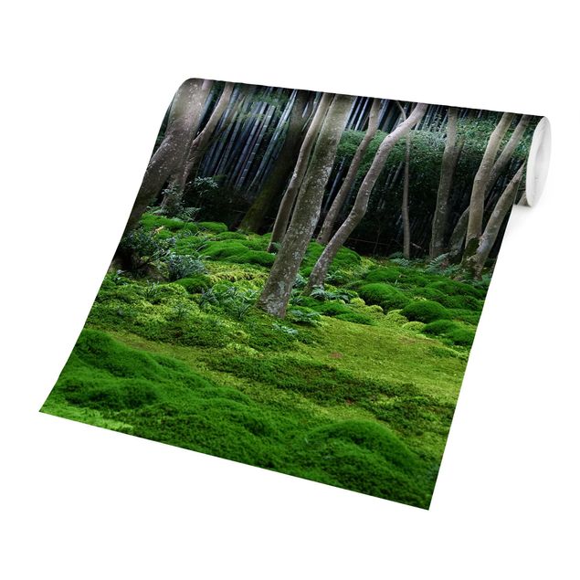 Fototapeten Grün Japanischer Wald