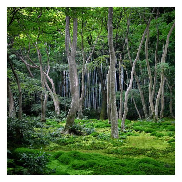 Fototapete kaufen Japanischer Wald