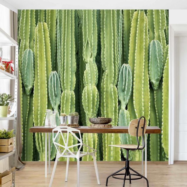 moderne Fototapete Kaktus Wand