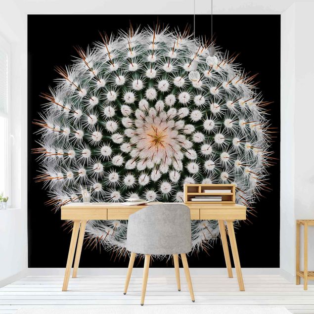 Fototapete modern Kaktusblüte