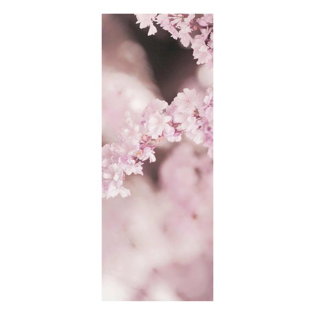 Wandbilder Braun Kirschblüte im Violetten Licht