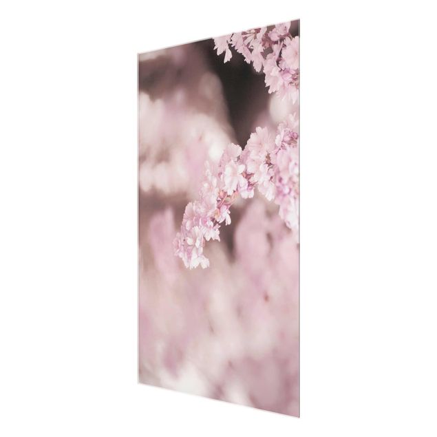 Monika Strigel Bilder Kirschblüte im Violetten Licht