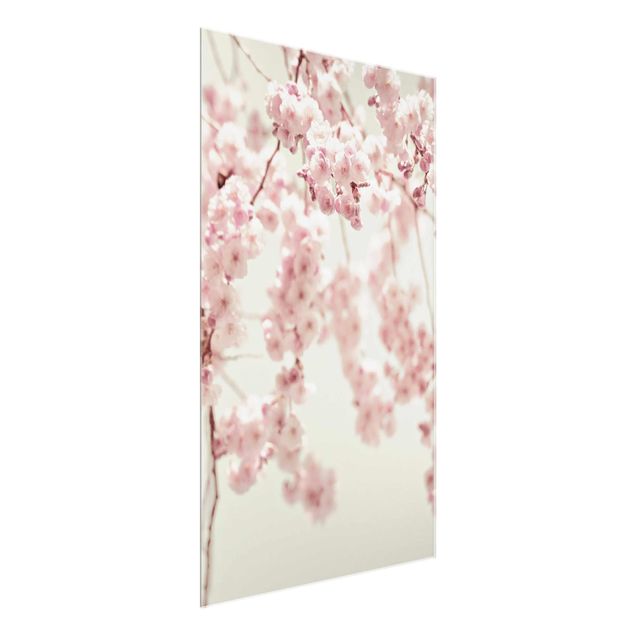 Wandbilder Blumen Kirschblütentanz