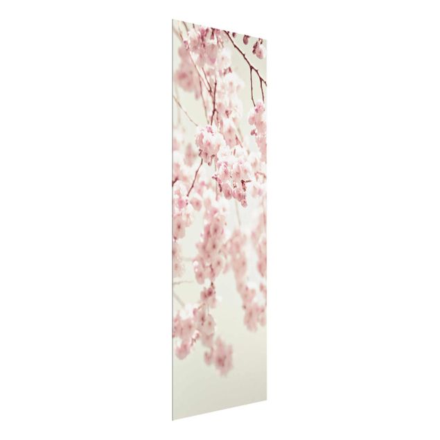 Wandbilder Blumen Kirschblütentanz