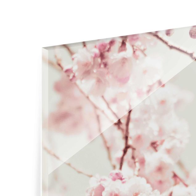 Glas Wandbilder Kirschblütentanz