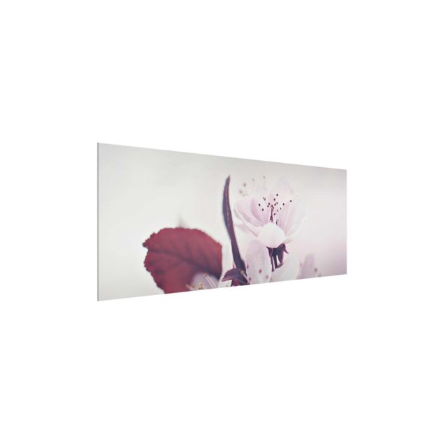 Wandbilder Blumen Kirschblütenzweig Altrosa