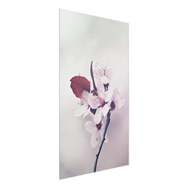 Wandbilder Blumen Kirschblütenzweig Altrosa