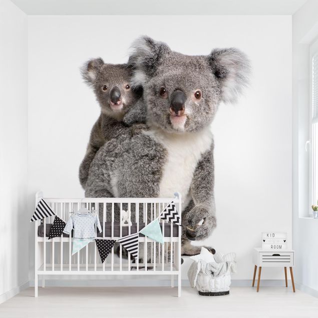 Tier Tapeten Koalabären
