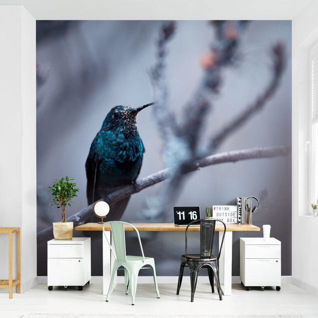 Fototapete Tiere Kolibri im Winter
