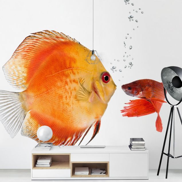 moderne Fototapete Küssende Fische