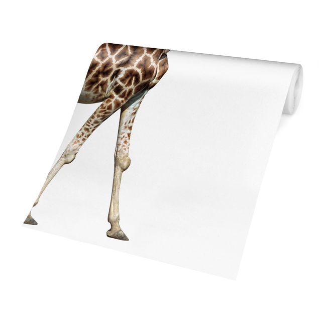 Fototapete weiss Laufende Giraffe