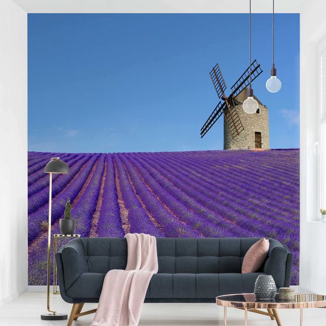 Küchen Deko Lavendelduft in der Provence