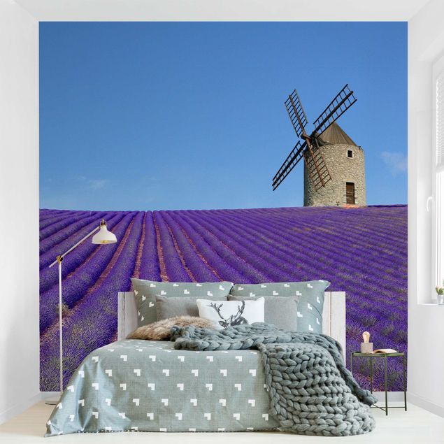 Tapete Sterne Lavendelduft in der Provence
