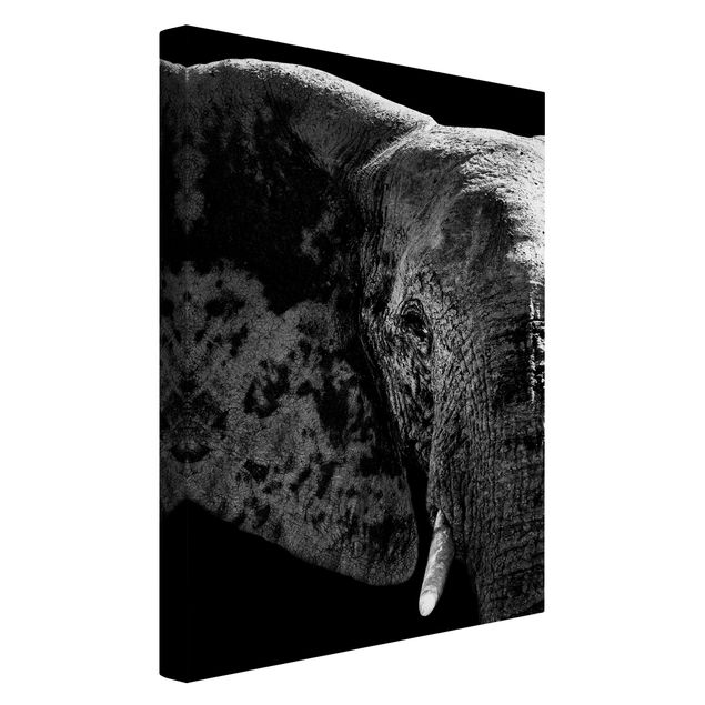 Leinwandbild Afrika Afrikanischer Elefant schwarz-weiß