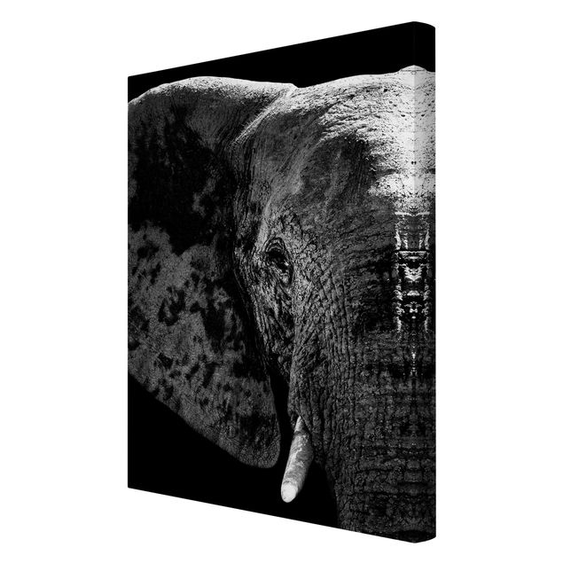Leinwand Tiere Afrikanischer Elefant schwarz-weiß