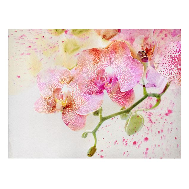 Wandbilder Floral Aquarell Blumen Orchideen