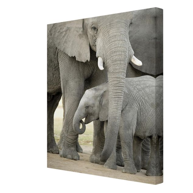 Wandbilder Modern Elefantenliebe