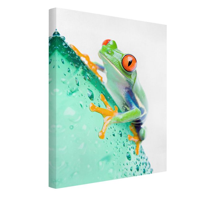 Wandbilder Modern Frog
