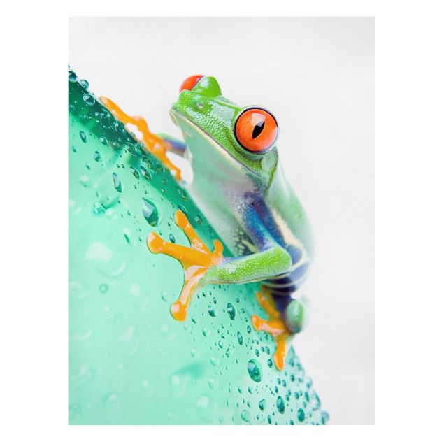 Wandbilder Tiere Frog