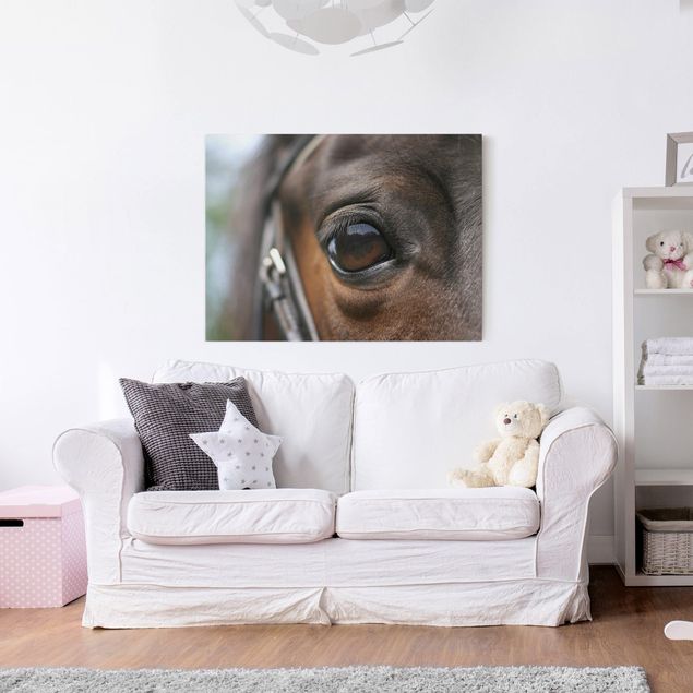 Wandbilder Pferde Horse Eye